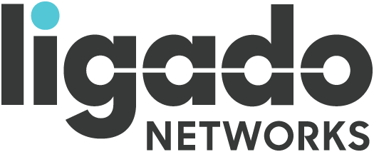 Ligado Satellite Safety
